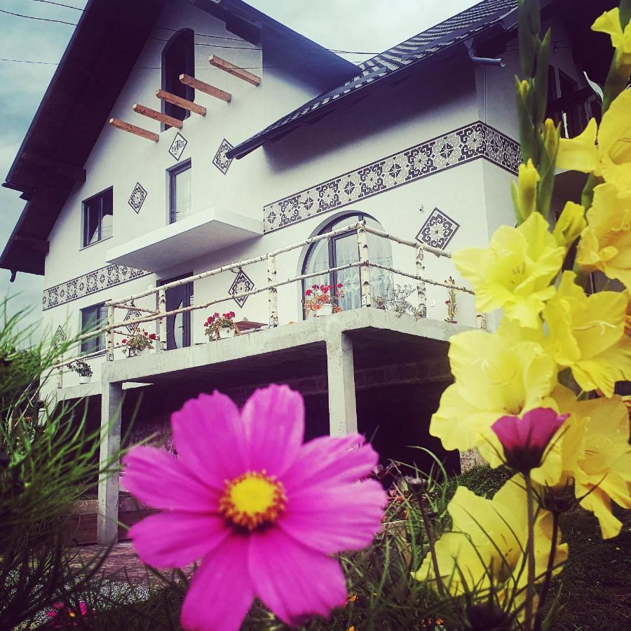 Casa Aureliana Villa Ciocanesti ภายนอก รูปภาพ