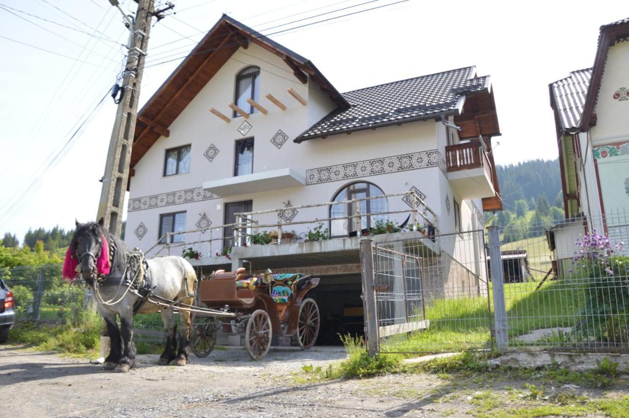 Casa Aureliana Villa Ciocanesti ภายนอก รูปภาพ